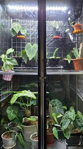 With these mini greenhouse ideas, nothing will stop you from growing everything you want during unfavorable conditions. Diy Greenhouse Cabinet It S Not Ikea So It S Frickin Cheap Lol Houseplants