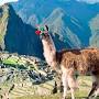 Tours Peru Machu Picchu from www.machupicchu-trips.com