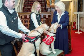 queen camilla gives cal dogs the