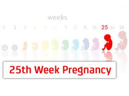 How To Calculate Pregnancy Weeks And Months Accurately