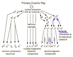 Cosmic Ray Cascade Chart Ans Nuclear Cafe