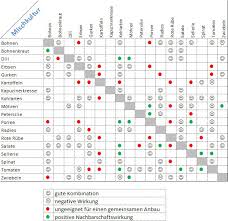 Gerade eine mischkultur ist bei kleinen gärten oder auch als krankheitsschutz zu empfehlen. Mischkulturtabelle Fur Unser Gemuse Saatgut Native Plants