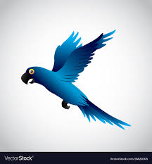 blue macaw design royalty free vector