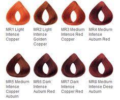 Ion Red Hair Color Chart Red Hair Color Hair Dye Color