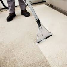 tjs pet stain carpet repair