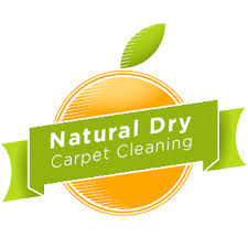 natural dry carpet cleaning home