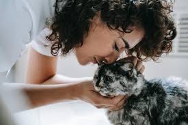 why do cats smell good 6 reasons for