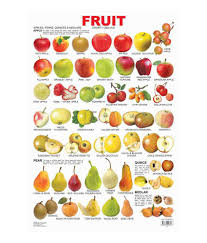 Fruit Chart 1 Laminated Chart Size 48cm X 73cm