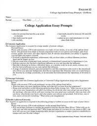 How To Write A College Application Essay Outline   Resume Templates 
