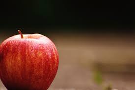 apple fruit t nutrition ripe