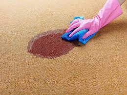 carpet cleaning cincinnati carpet