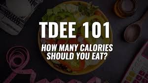 Tdee 101 How Many Calories Should I Eat Tdee Calculator