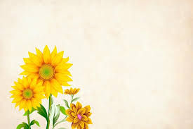 yellow flower background with copye