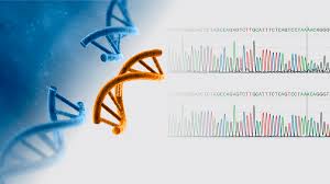gene editing by crispr cas9 and the