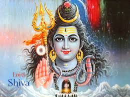 Image result for lord shiva images