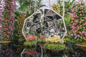 annual orchid exhibit