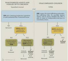 Comparative Flow Chart Of Expedited Removal For Unauthorized