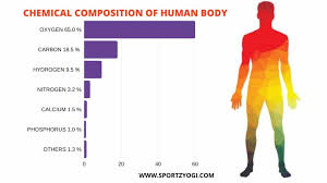 chemical composition of the body