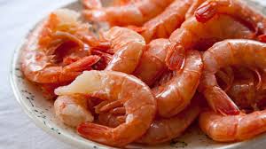 argentinian shrimp