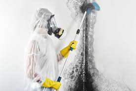 how to get rid of mold on walls easy