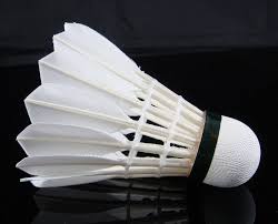 Left hand navigation skip to search results. Badminton Instruments Promotions