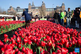 national tulip day marked in
