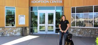 Animal Shelter Hires New Foster Rescue Coordinator