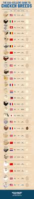 Breeds Of Different Animals On Amazing Charts Earthly Mission
