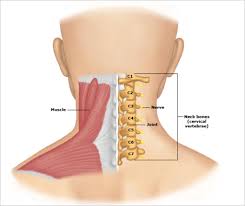neck back spine neck pain