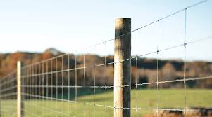 What Is The Best Fence To Keep Deer
