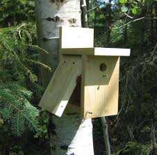 25 Free Bird House Plans To Welcome