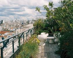 on the rooftops of paris a new kind of