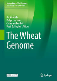 functional annotation of the wheat genome