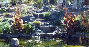 Fountains Waterfalls Ponds Evergreen