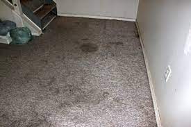 dry your flooded basement carpet