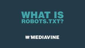 what is robots txt and how it can hurt