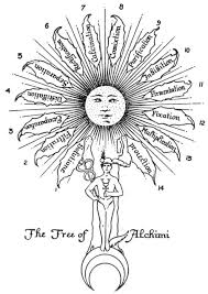 Image result for 12 stages of alchemy