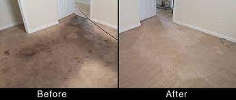white glove carpet cleaning