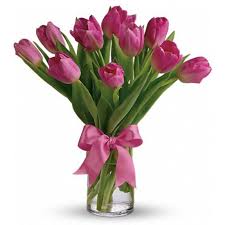 pink tulip tulip flowers in