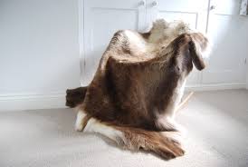 huge natural eco reindeer rug the