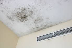 this is what mold on the ceiling means
