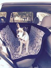 Car Seat Hammock For Dogs Asientos