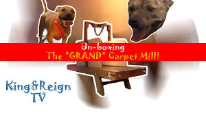 unboxing the grand carpet mill king