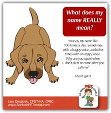 use clarity in teaching your dog s name