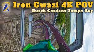 busch gardens ta bay s roller coasters