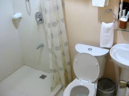 toilet and bathroom design