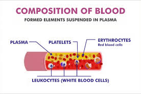 composition of blood javatpoint
