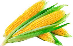 health benefits of corn