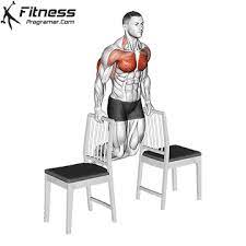 how to dips between chairs muscles
