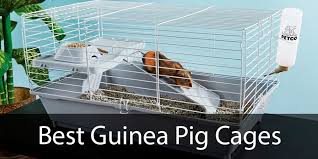 the 10 best guinea pig cages review
